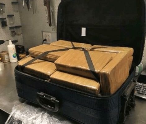 Police seize cocaine worth $1.3 million at JFK Airport