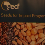 AECF launches Seeds for Impact Programme in Ghana