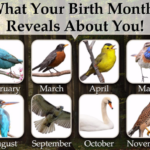 See what your birth month bird reveals about you