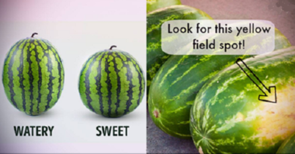 5 wonderful tips to pick the sweetest Watermelon