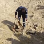 Mass grave discovered in Iraq's northern Kirkuk province