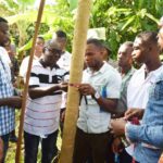 UNDP launches mobile App for cocoa tree registration 