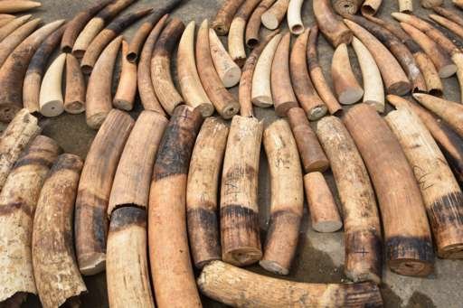 New British law bans ivory sales