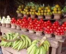 Tepahene vindicated as Ghana begins food export to neighbouring countries