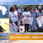 Camerronians react to opposition leader's arrest [The Morning Call]