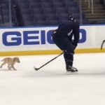 Puppy Practice Ice Hockey