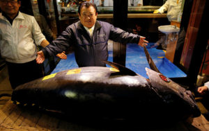 Sushi Tycoon Buys Giant Bluefin Tuna for 3.1 Million Dollars (PHOTOS)