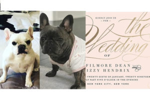 PHOTOS: Whoopi Goldberg announces that her family dog is getting married, shares wedding invitation