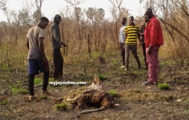3 herdsmen killed in Sekyere Afram Plains after renewed clashes with farmers