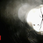Police respond to spider death threats