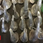 Sniffer dog finds 116kg of rhino horn