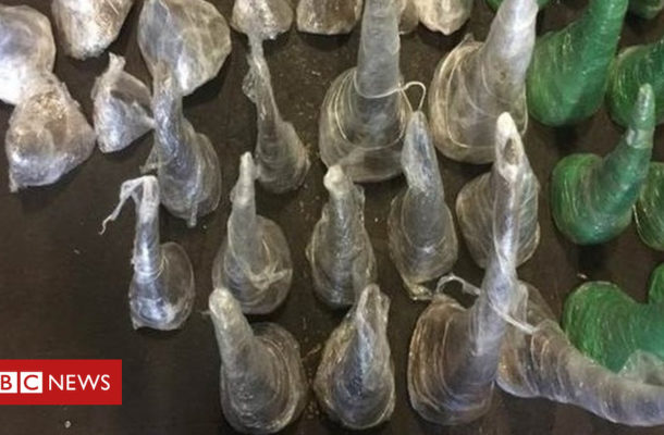 Sniffer dog finds 116kg of rhino horn