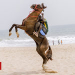 The dancing horses of Lagos beach