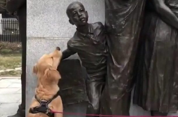 Love Me Tender: Dog Puzzled Over Statues Not Petting It