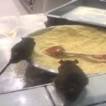 Say Cheese! Domino's Pizza Closes Branch in Israel After Video of Rats