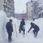 Blizzards in Tibet kill thousands of livestock