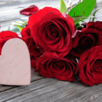 When is Rose Day 2019? Significance and Importance of Rose Day in Valentine's Week