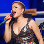 I dont need to show skin to sell my music - Adina