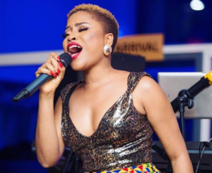 I dont need to show skin to sell my music - Adina