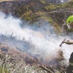 Thousands flee as winds fan New Zealand wildfires