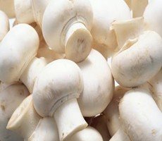 Mushrooms may 'prevent mild brain decline'