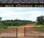 Forestry Commission begins counting animals in Mole Park