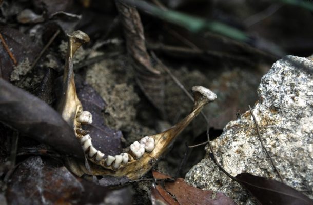 Groups urge Malaysia ensure accountability for 2015 mass graves