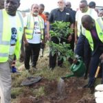 NDC goes into tree planting