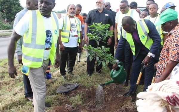 NDC goes into tree planting