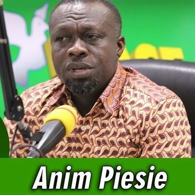 Akufo-Addo has mismanaged the Energy Sector - Anim Piesie