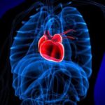 Broken heart syndrome and cancer are connected – Scientists