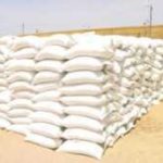 Gov’t committed to reduce rice importation