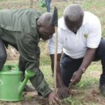 AGRA partners Forestry Commission to plants trees