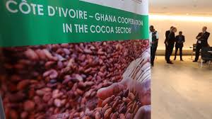Ghana yet to decide on cocoa farmgate price -Cocobod