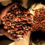 Cocoa juice factory under '1D1F' inaugurated at Assin Akrofuom