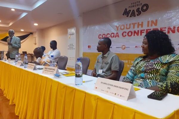 Over 11,000 youth gained training in Cocoa Farming