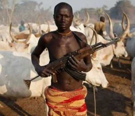 Clashes between Farmers and Fulani herdsmen has displaced more persons than Boko Haram - REPORT