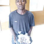 18-year-old notorious Indian Hemp dealer arrested