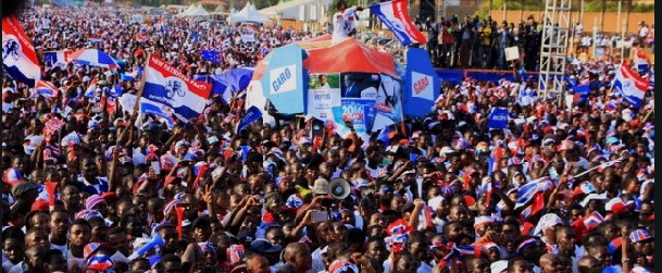 NPP elects ‘orphan constituency’ candidates Saturday