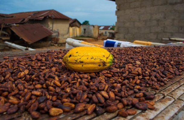 Ghana sets target of  850,000 tonnes of cocoa production in 2019/20 season