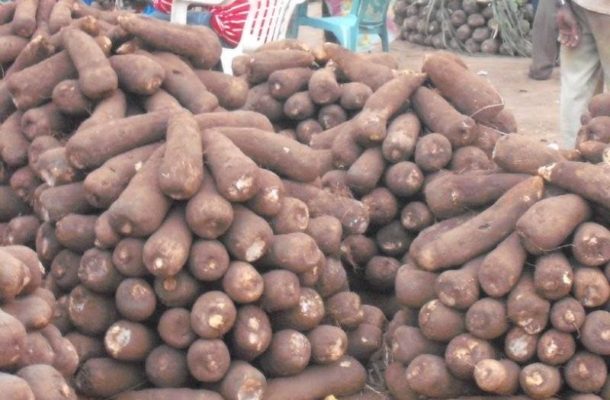 'You cheat us with pen, we kill you with chemicals' - Ghanaian yam farmers
