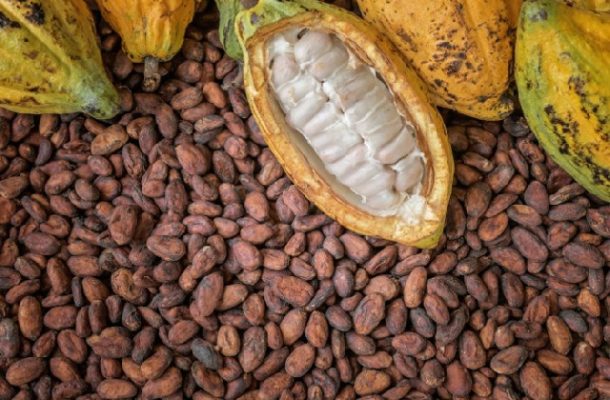 Ghana 2019/20 cocoa hits 44K tonnes by Oct. 17 – Cocobod