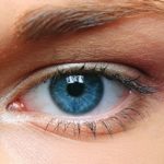 Nutrition and Eye Health: best foods for your eyes