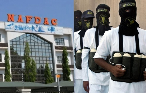 Tramadol and Codeine found in remains of Boko Haram suicide bombers - NAFDAC