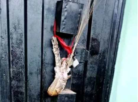 SHOCKING PHOTOS: Angry wife allegedly plants snake charm on husband's mistress shop
