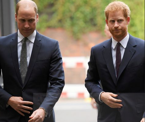 'William and I are on different paths' - Prince Harry acknowledges tensions with his brother