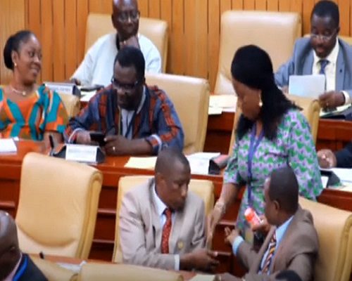 Don't sleep - Ada MP distributes chewing gum to colleagues during budget reading