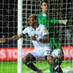 Swansea City fans shower praises on Andre Ayew