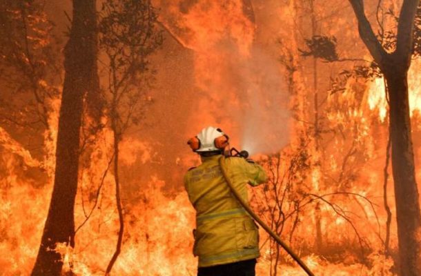 Bush fires ravage rice farms in northern regions