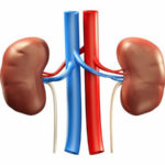 Why most causes of kidney disease in Ghana are unknown